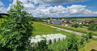 von_poll_real_estate_property_23461011_image_23