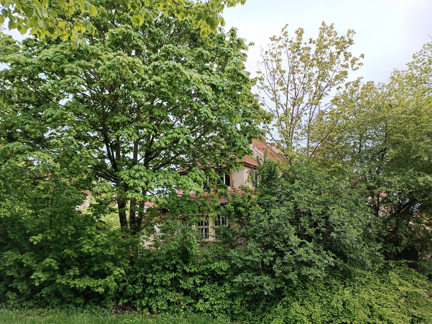 Gartenseite im Norden