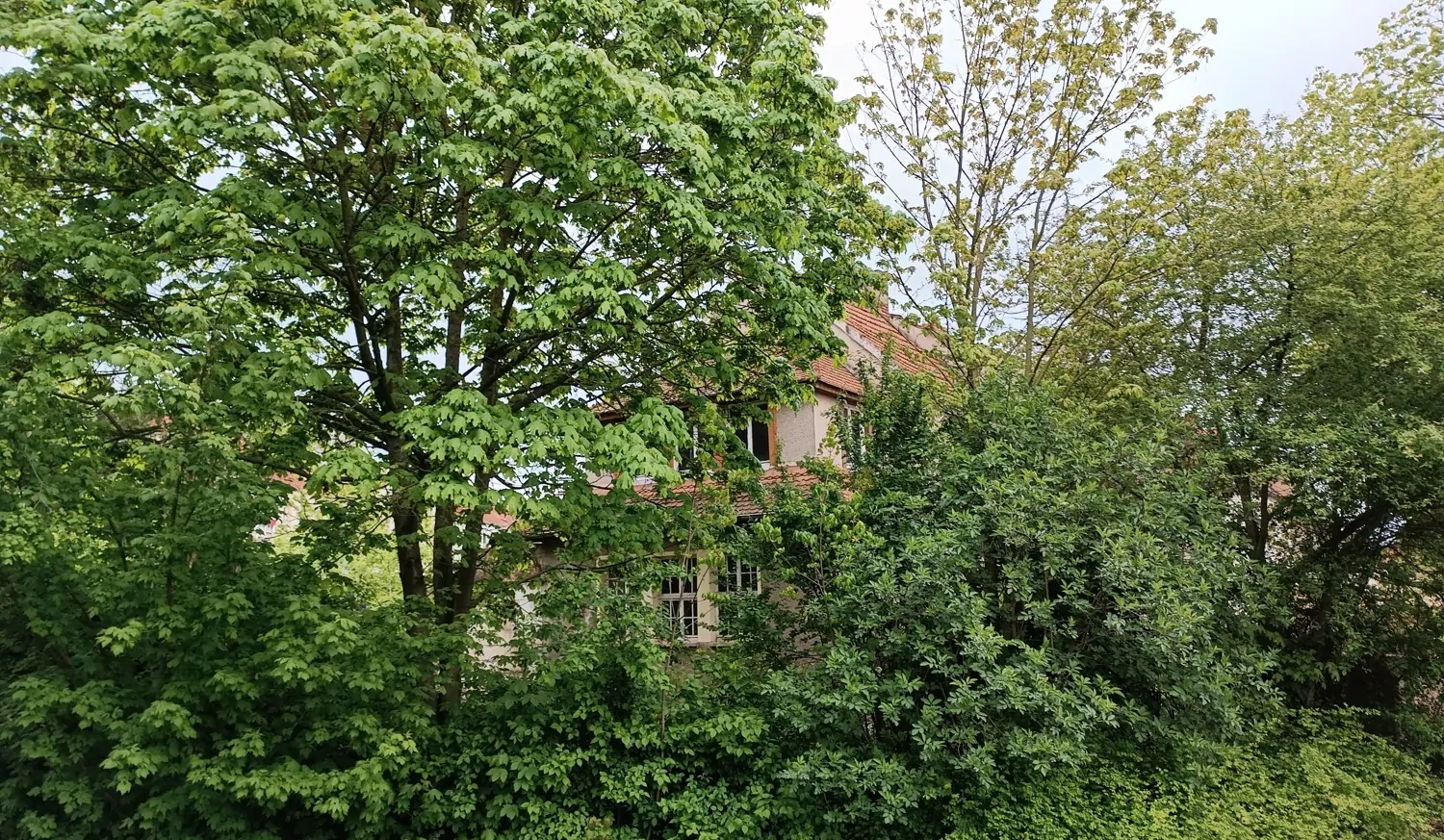 Gartenseite im Norden