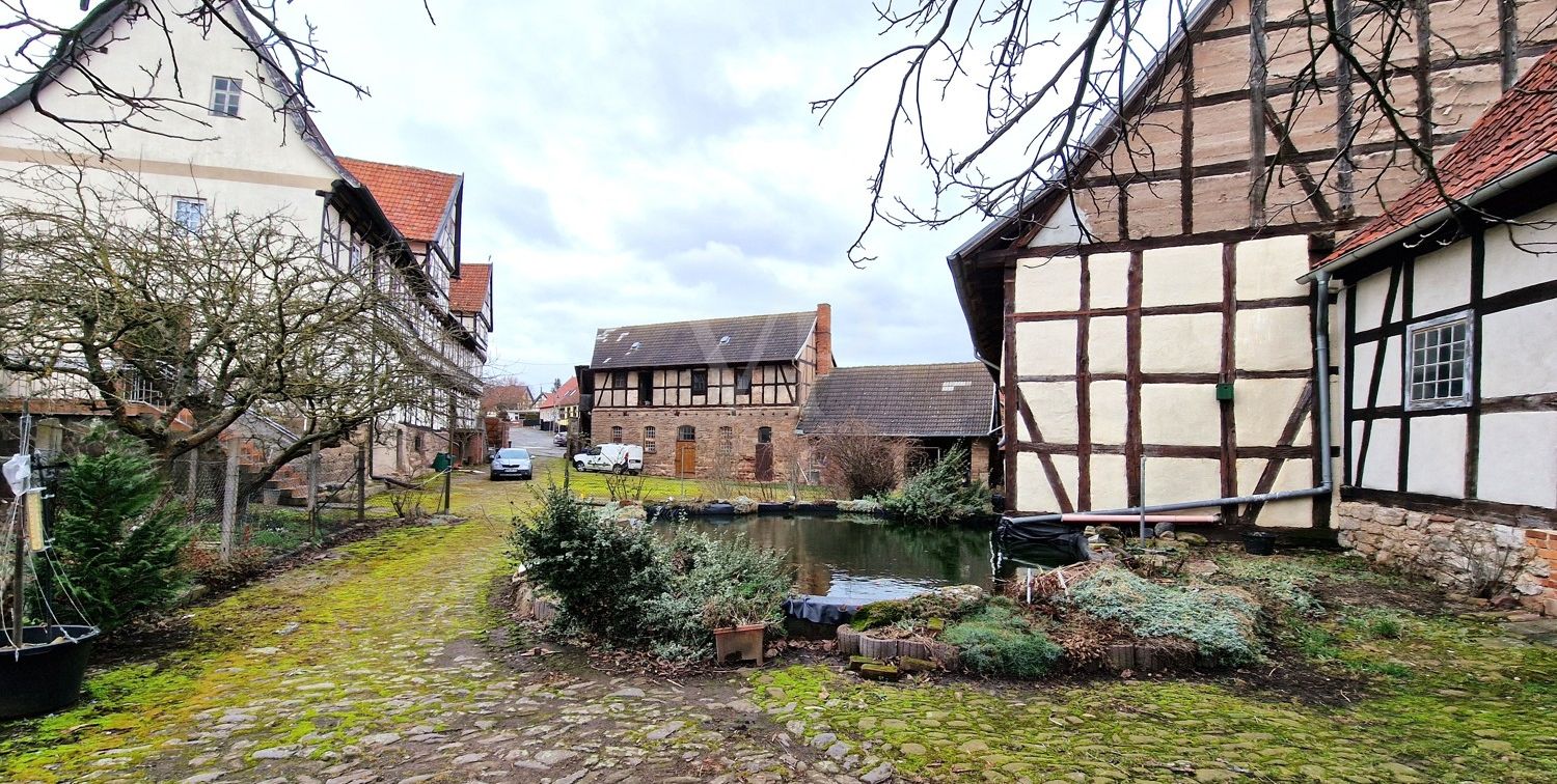 hinterer Garten