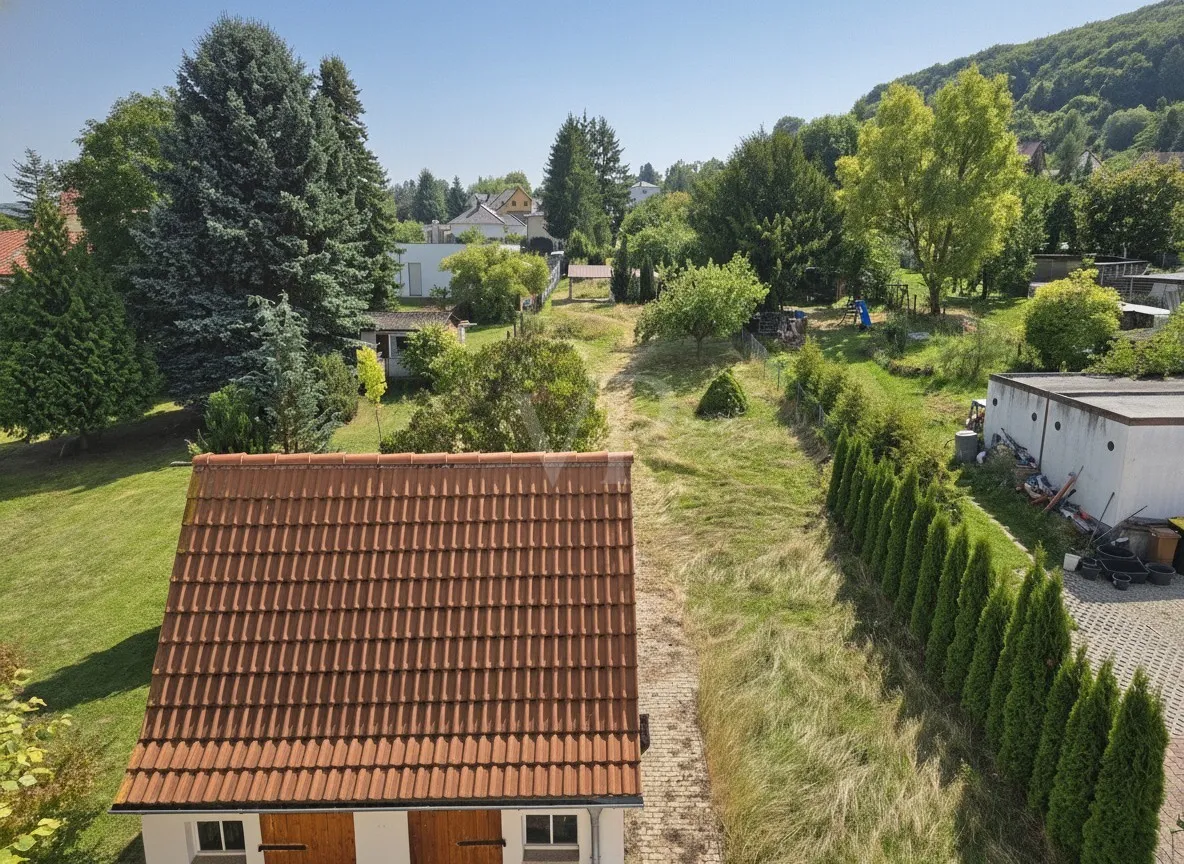 Ansicht auf Gartenbereich