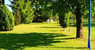 von_poll_real_estate_property_24461015_image_17