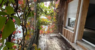 von_poll_real_estate_property_24461024_image_13