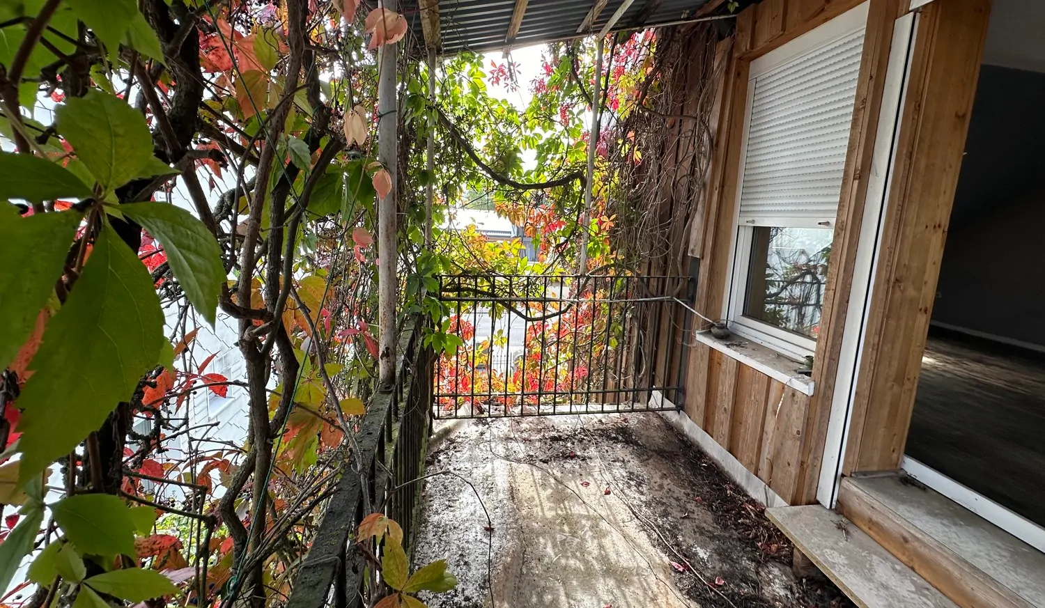 Balkonaustritt Arbeitszimmer DG