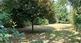 von_poll_real_estate_property_24461024_image_24