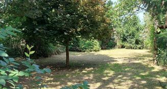 von_poll_real_estate_property_24461024_image_24