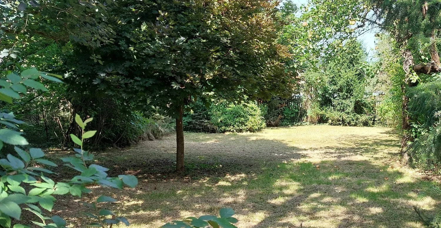 Gewachsener Garten