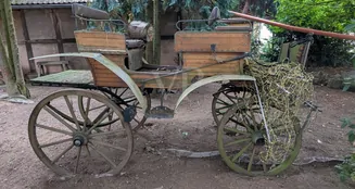 von_poll_real_estate_property_24461032_image_1