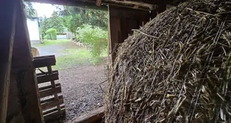 von_poll_real_estate_property_24461032_image_30