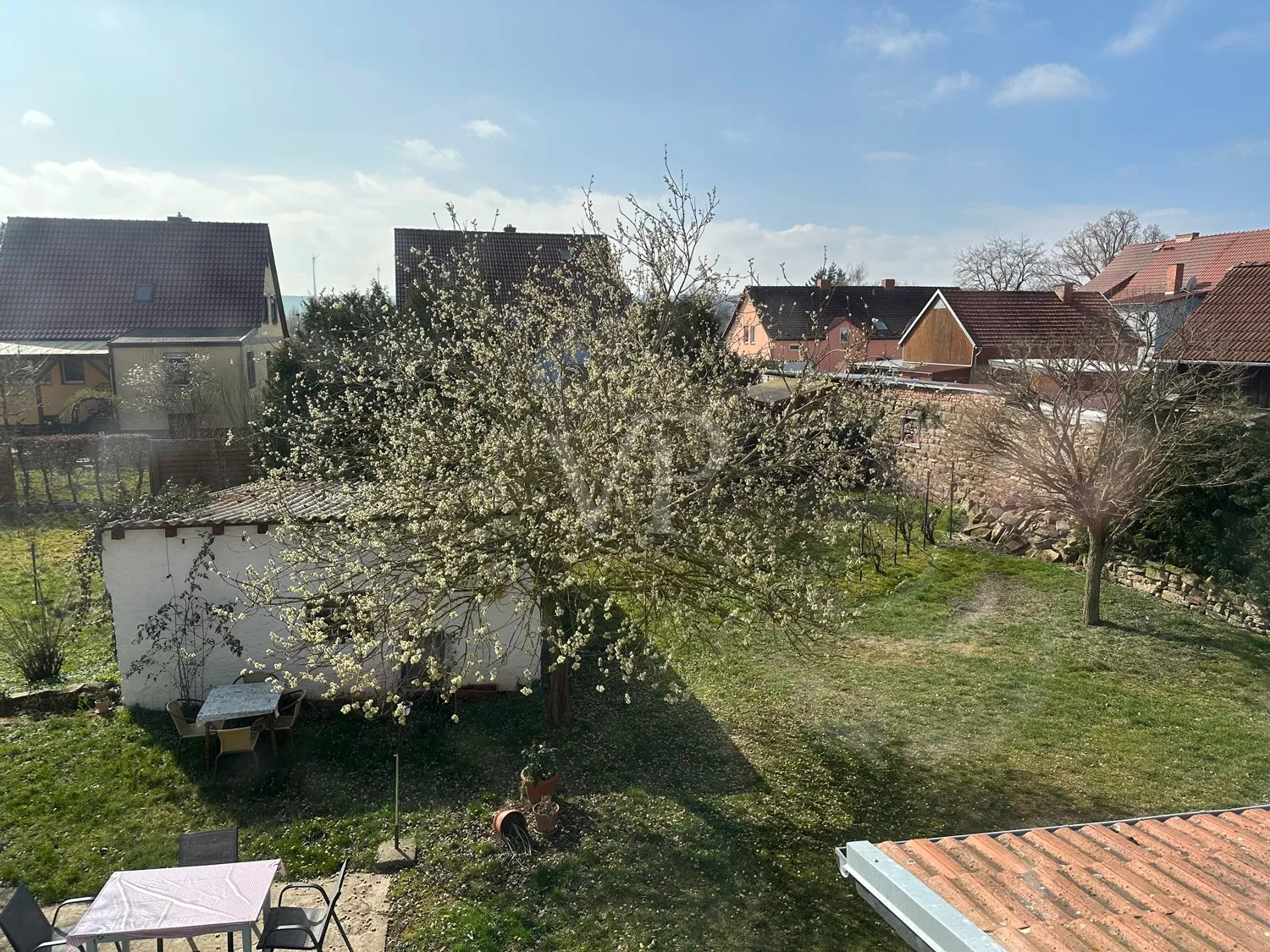 Blick in den Garten