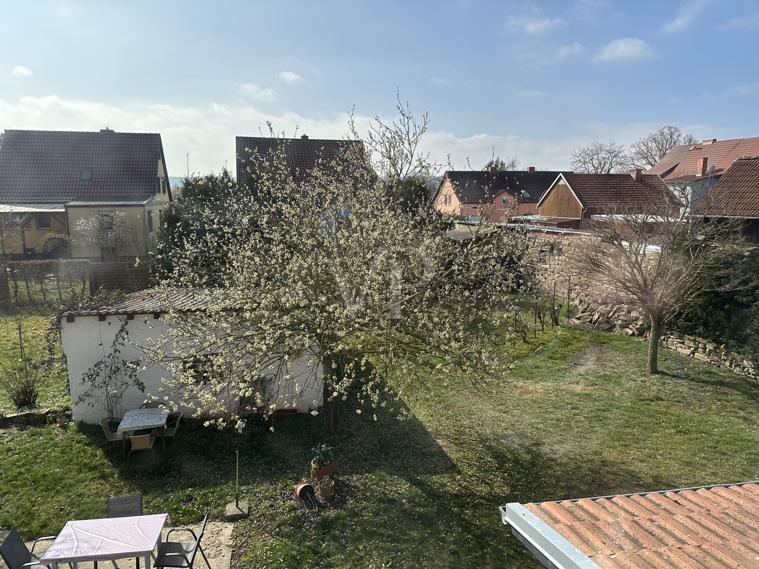 Blick in den Garten