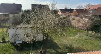 von_poll_real_estate_property_25461008_image_18