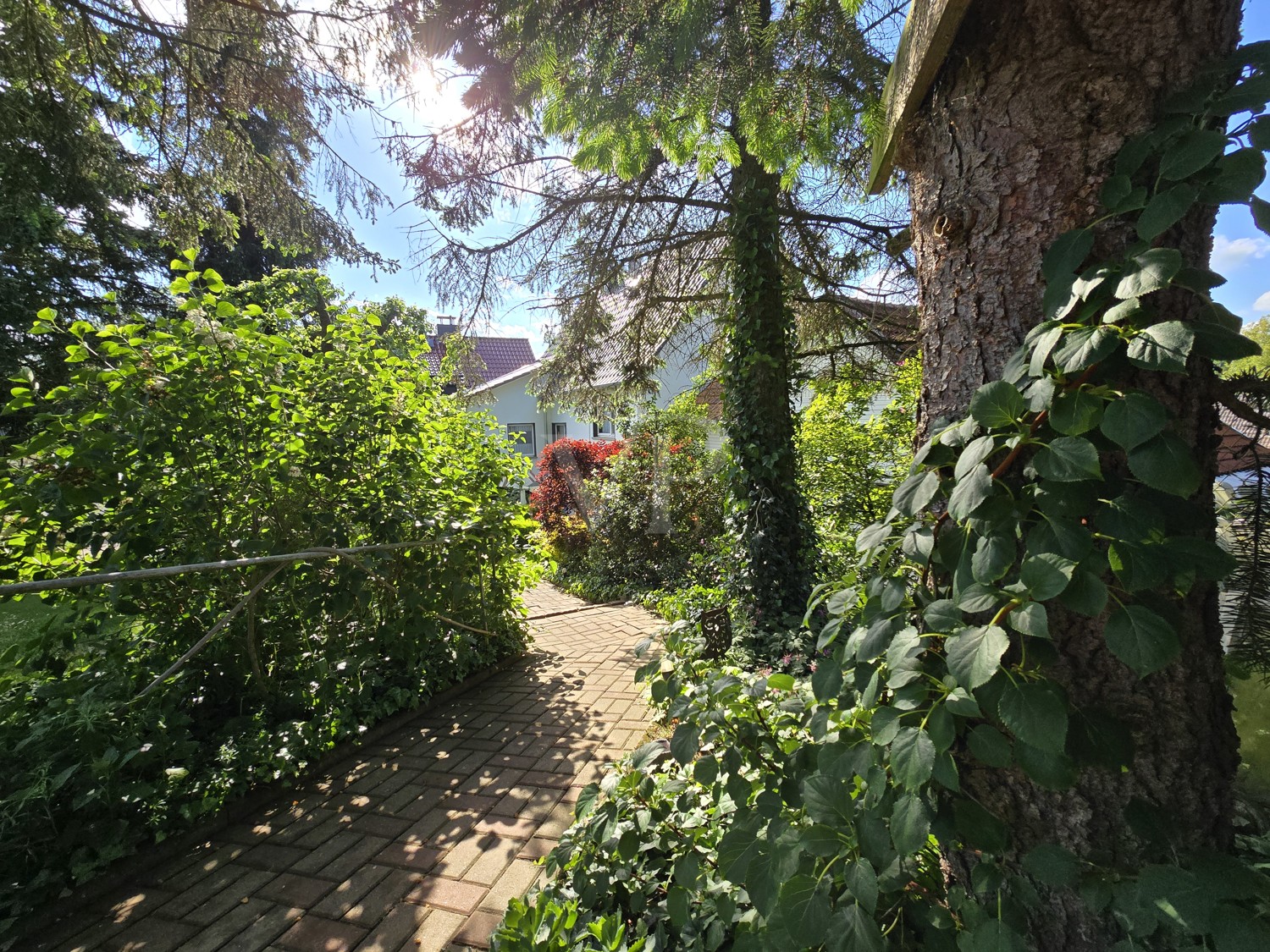 Blick vom Garten oberer Bereich