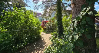 von_poll_real_estate_property_25461010_image_2