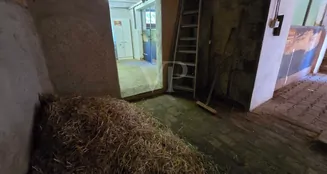 von_poll_real_estate_property_25461010_image_24