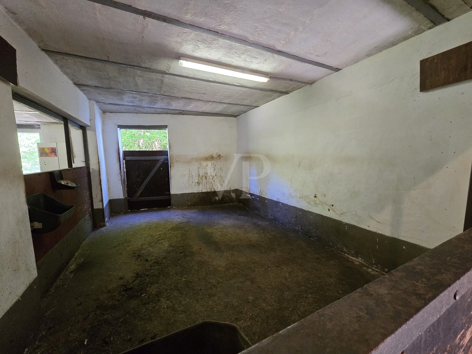 Bereich Stallung 01