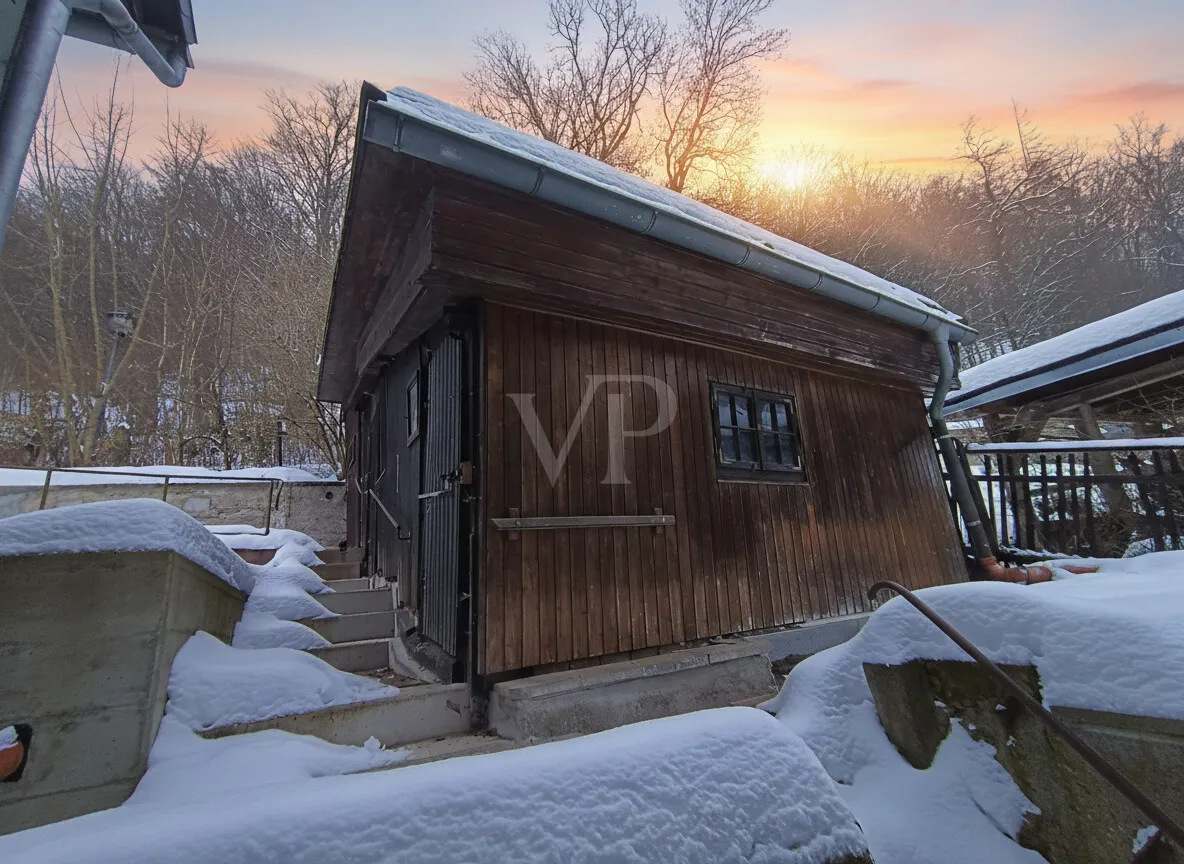 Winterimpression