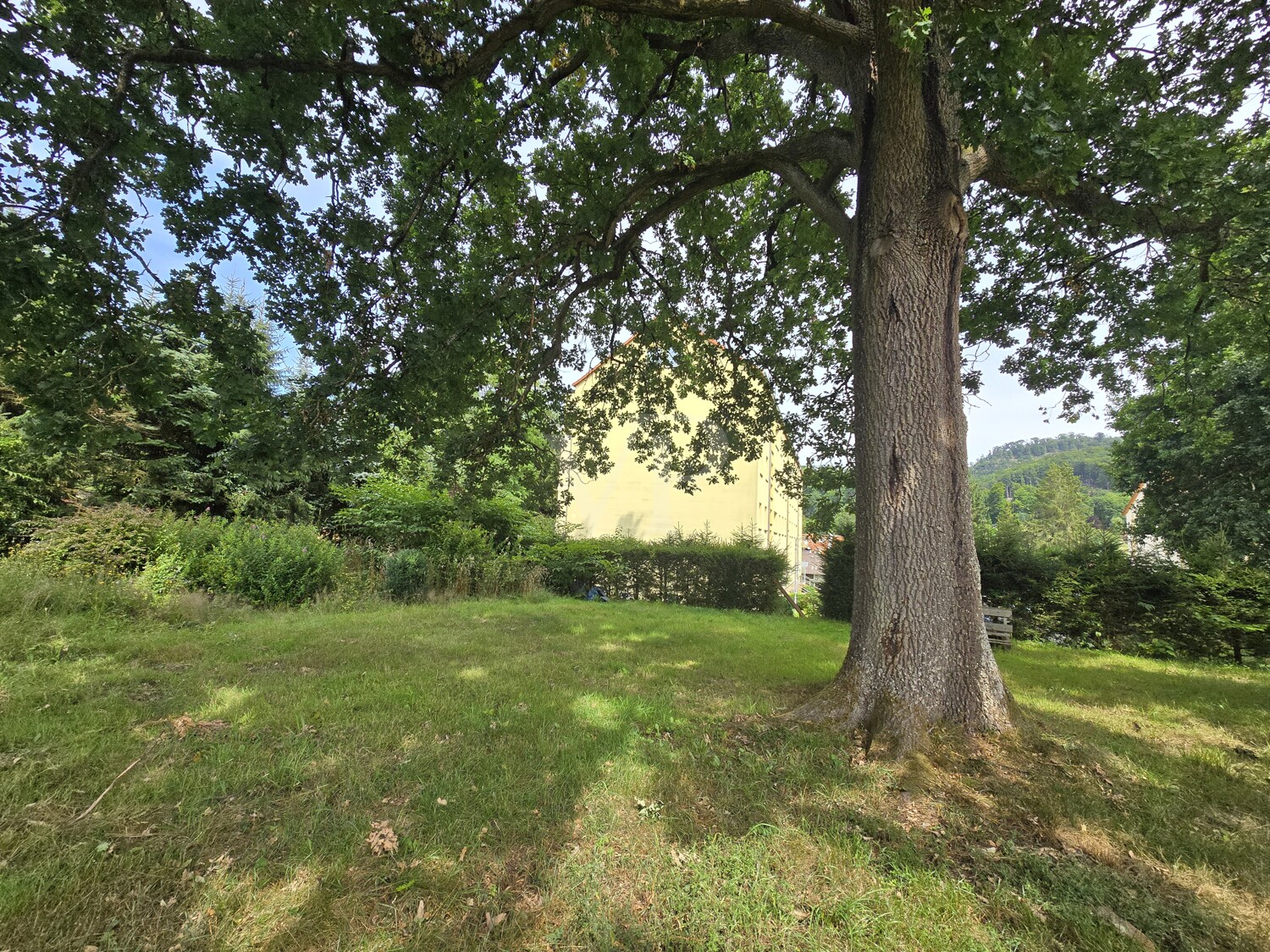 Ansicht Westen mit Freiflächenbereich