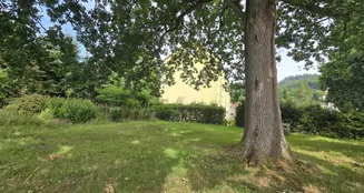 von_poll_real_estate_property_25461013_image_16