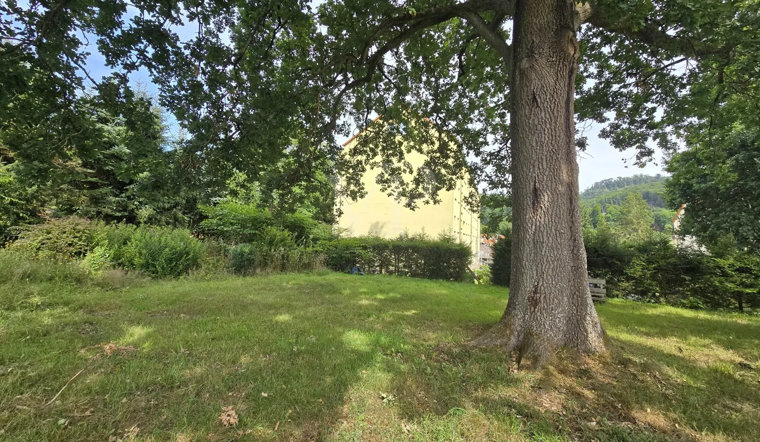 Ansicht Westen mit Freiflächenbereich