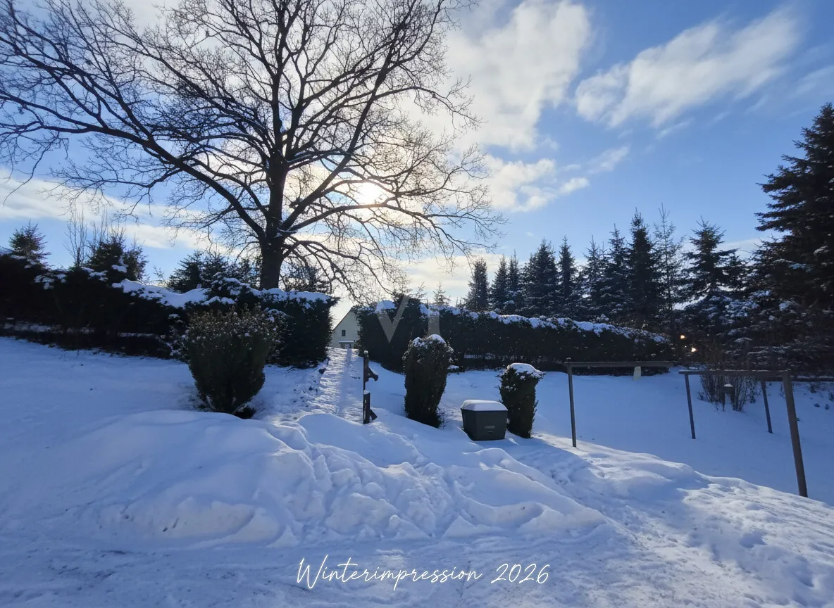 Winterimpression