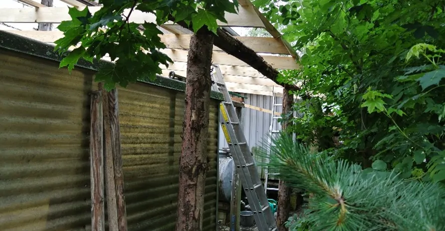 Ansicht Nebengebäude