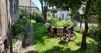 von_poll_real_estate_property_25461014_image_24