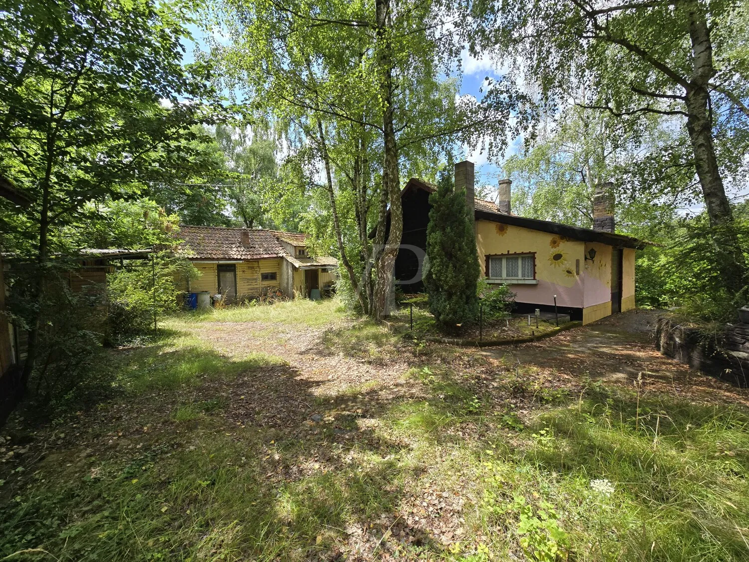 Waldgrundstück mit Bestandsgebäuden