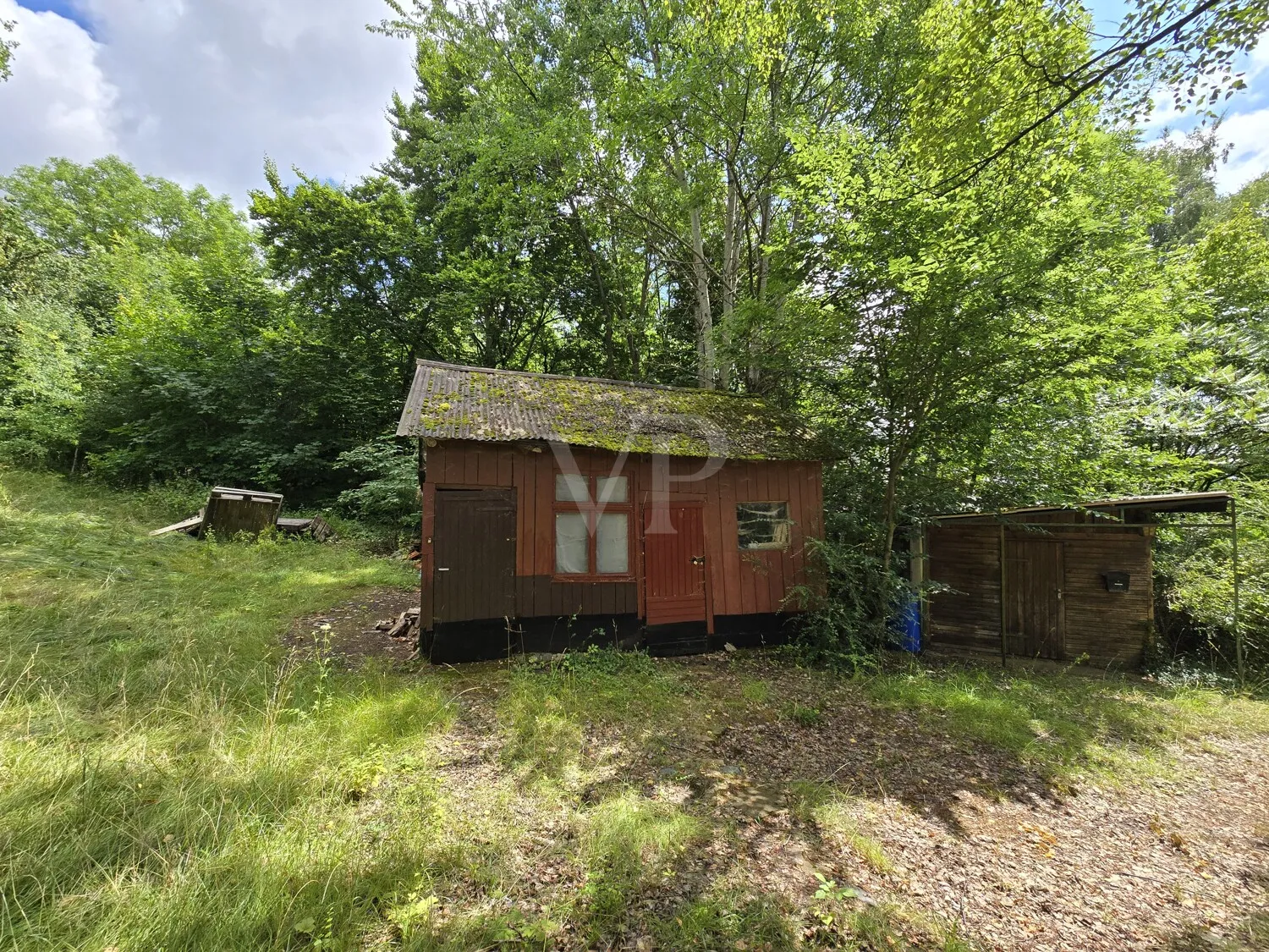 Waldgrundstück Frühjahrsimpression
