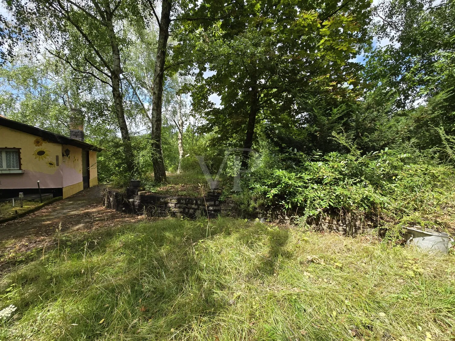 Waldgrundstück Frühjahrsimpression