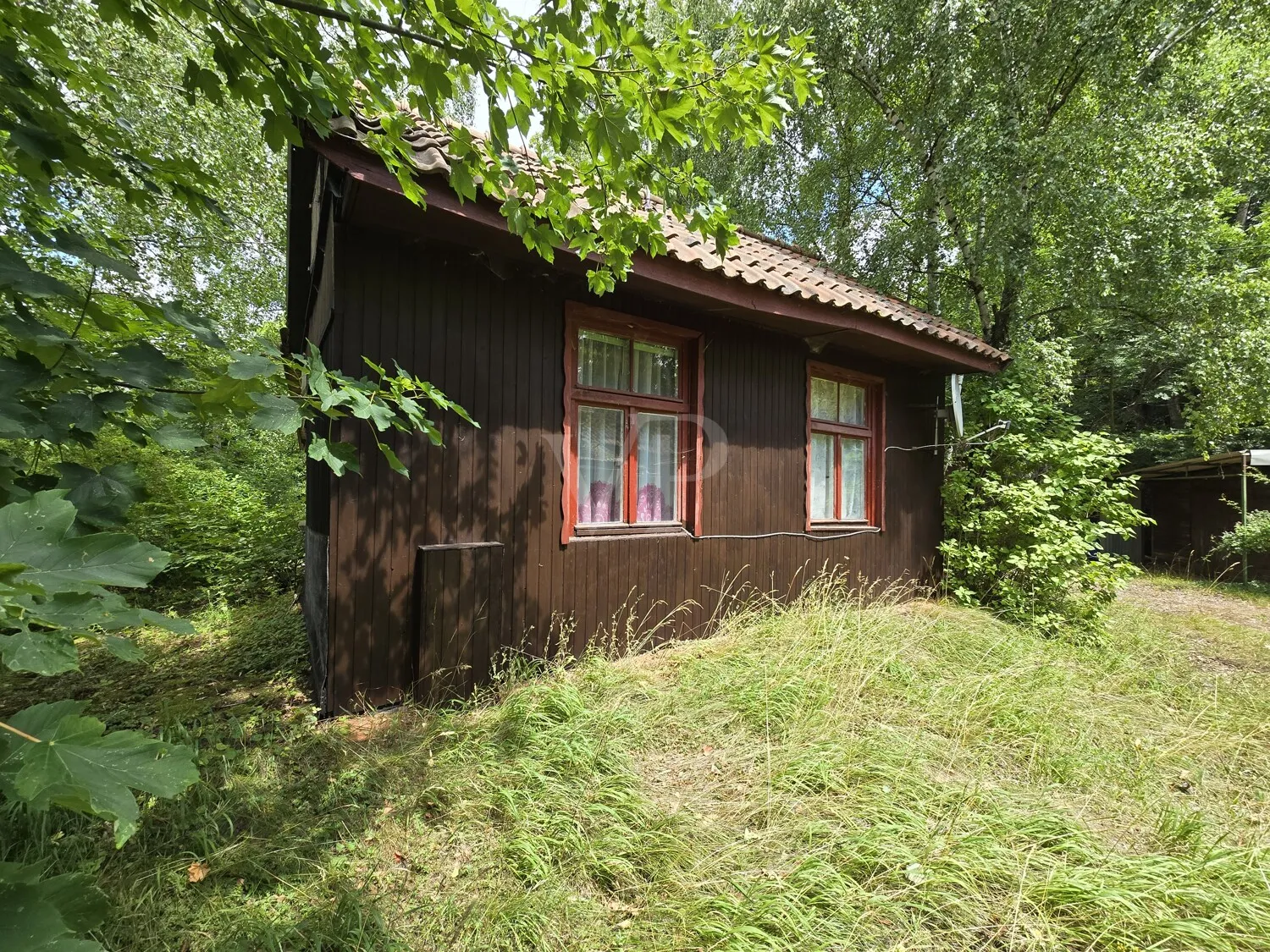 Waldgrundstück Frühjahrsimpression