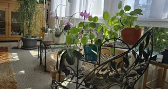 von_poll_real_estate_property_25461017_image_11