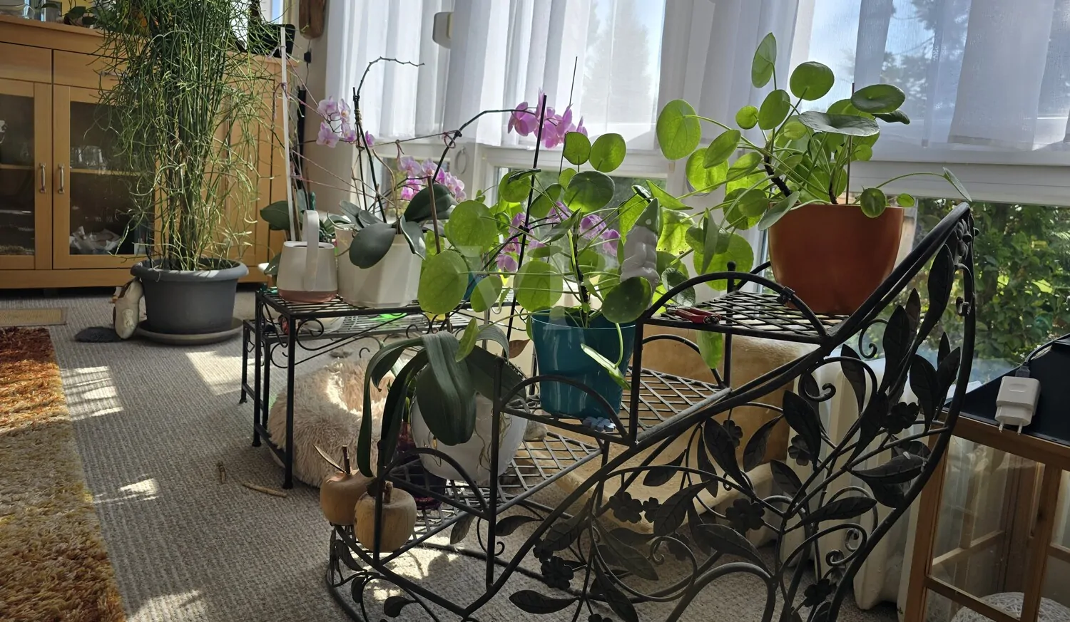 EG Detail Wohnzimmerbereich