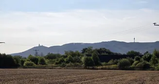 von_poll_real_estate_property_25461017_image_18