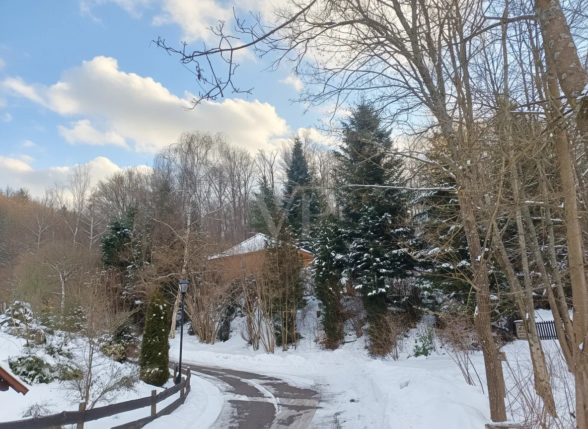 Winterimpression