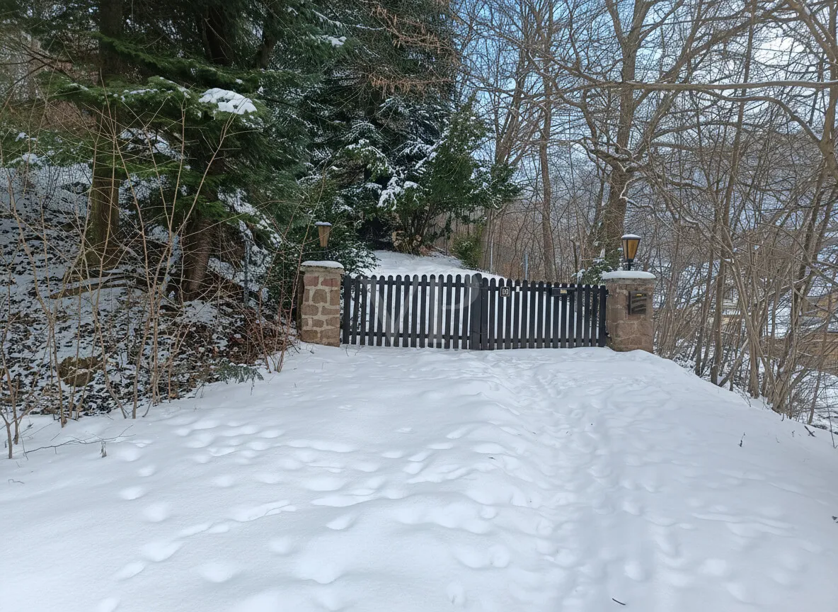 Winterimpression