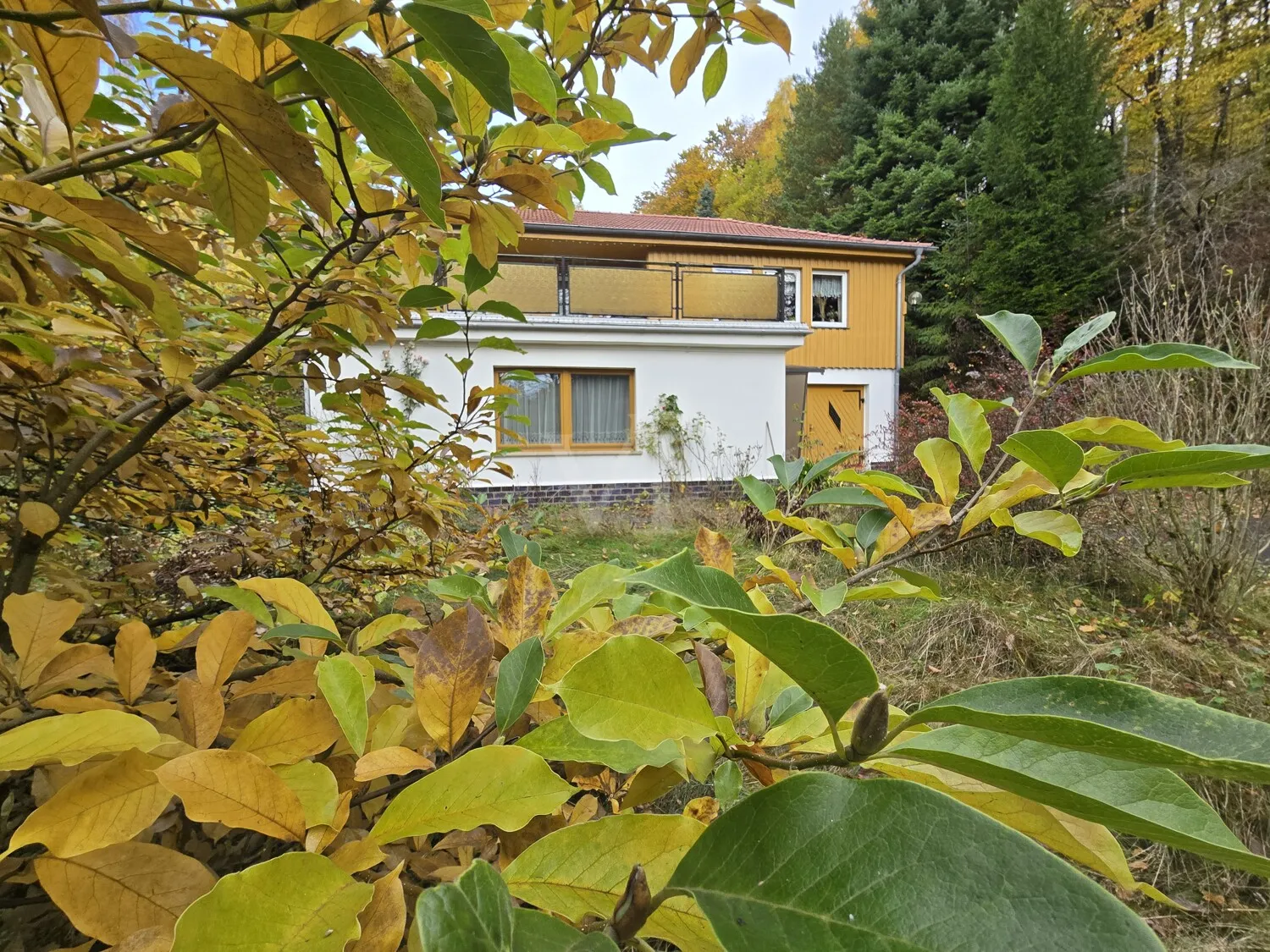 Herbstimpression