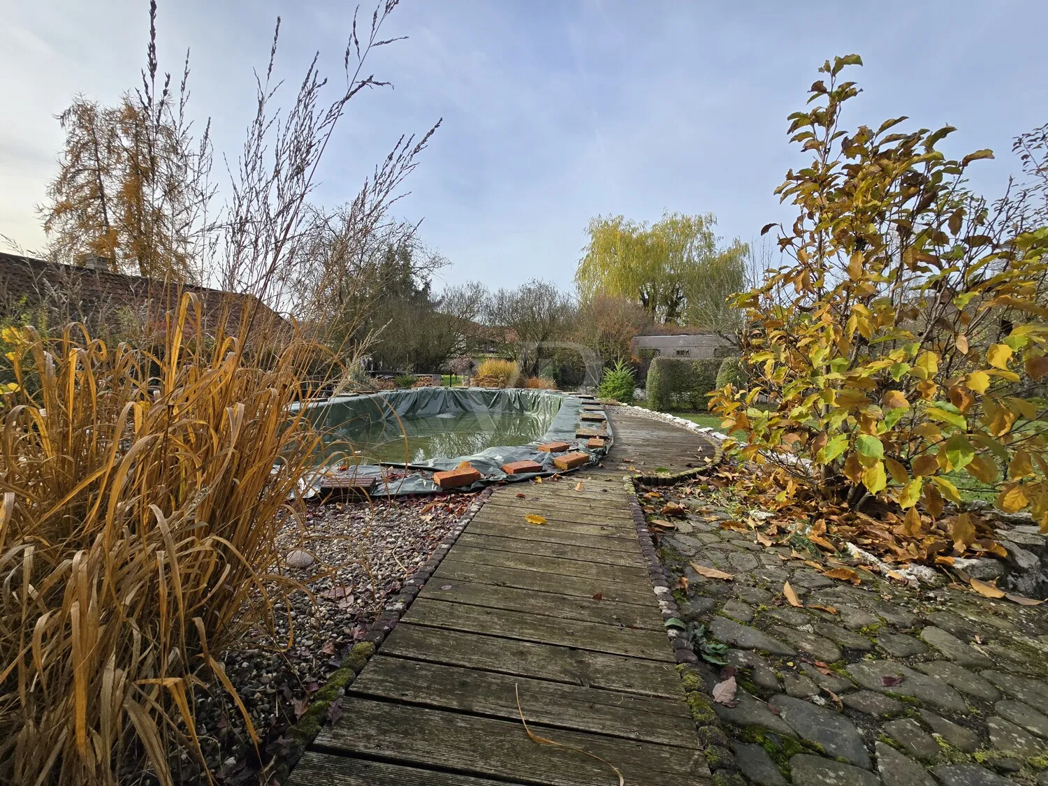 Detail Pollbereich Herbstimpression