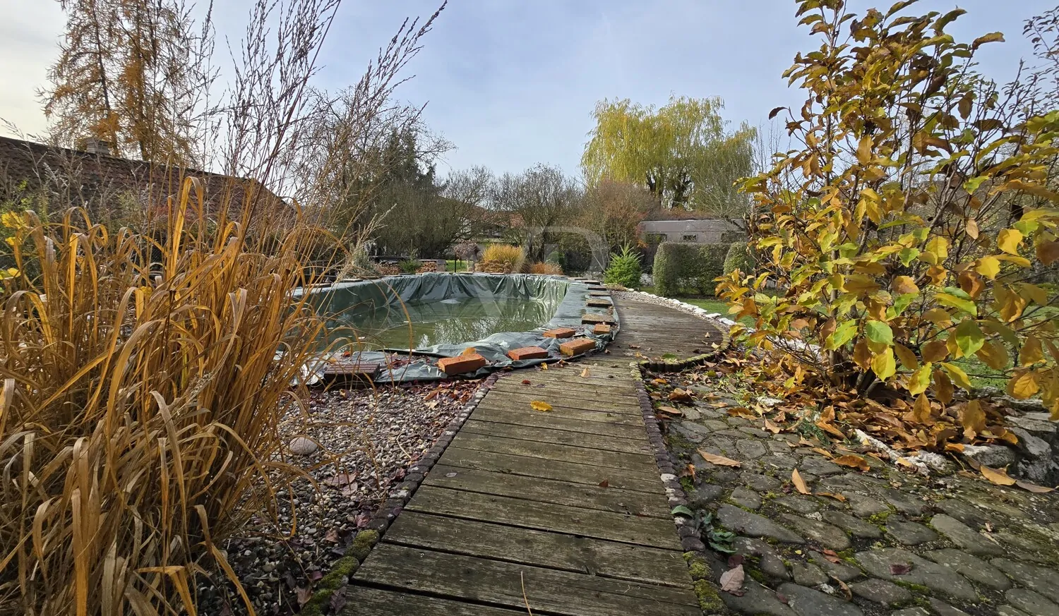 Detail Pollbereich Herbstimpression