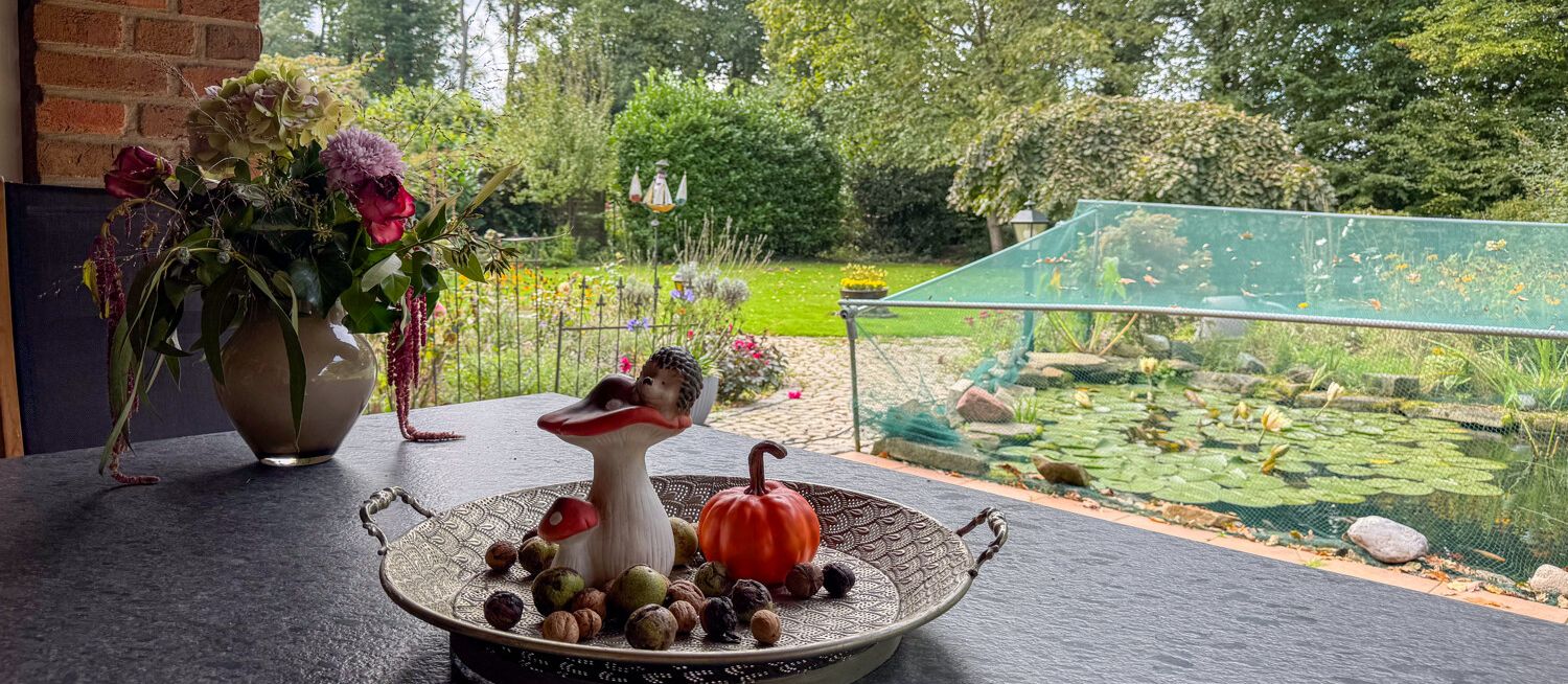 Garten/Terrasse