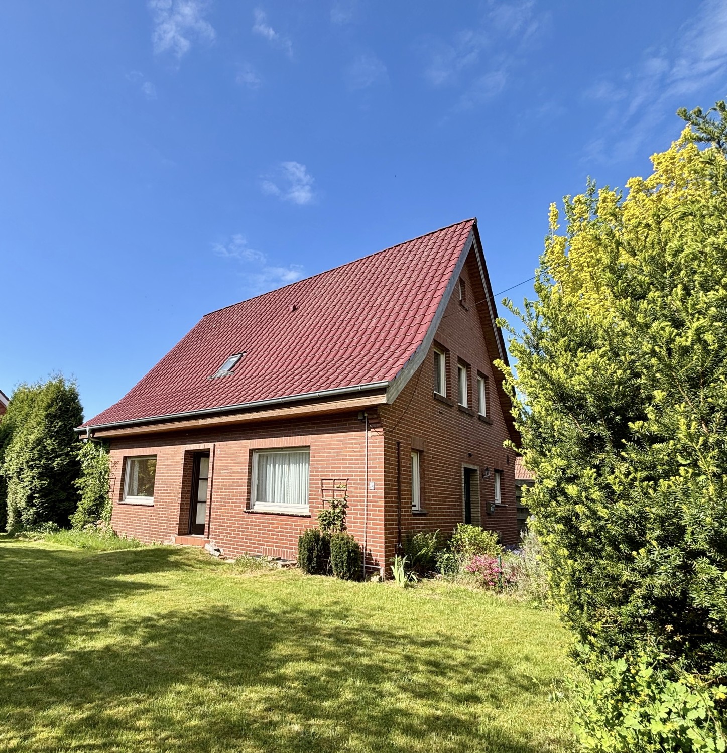 Seitenansich