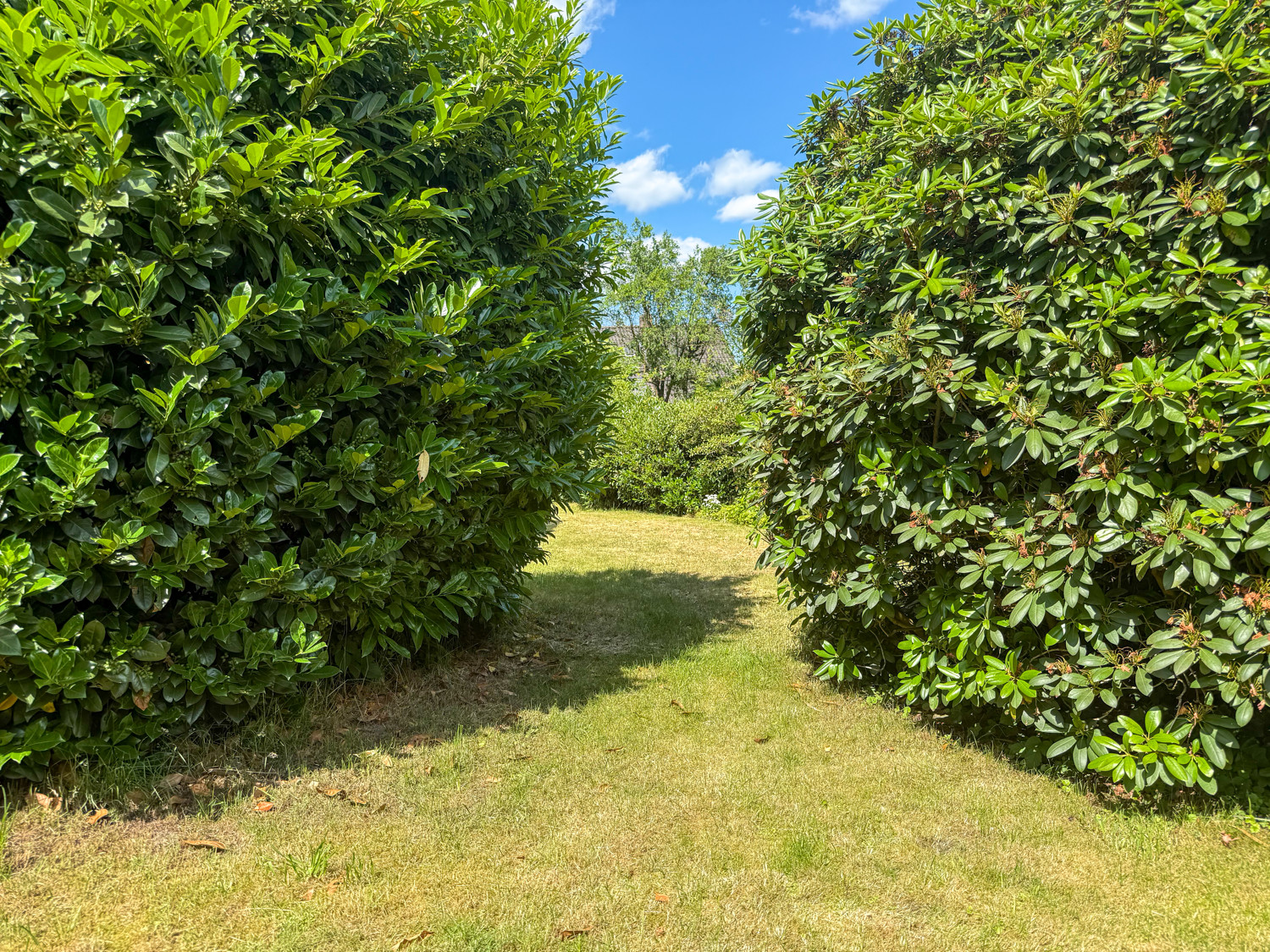 Garten