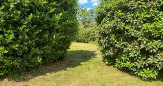 von_poll_real_estate_property_25242026_image_11