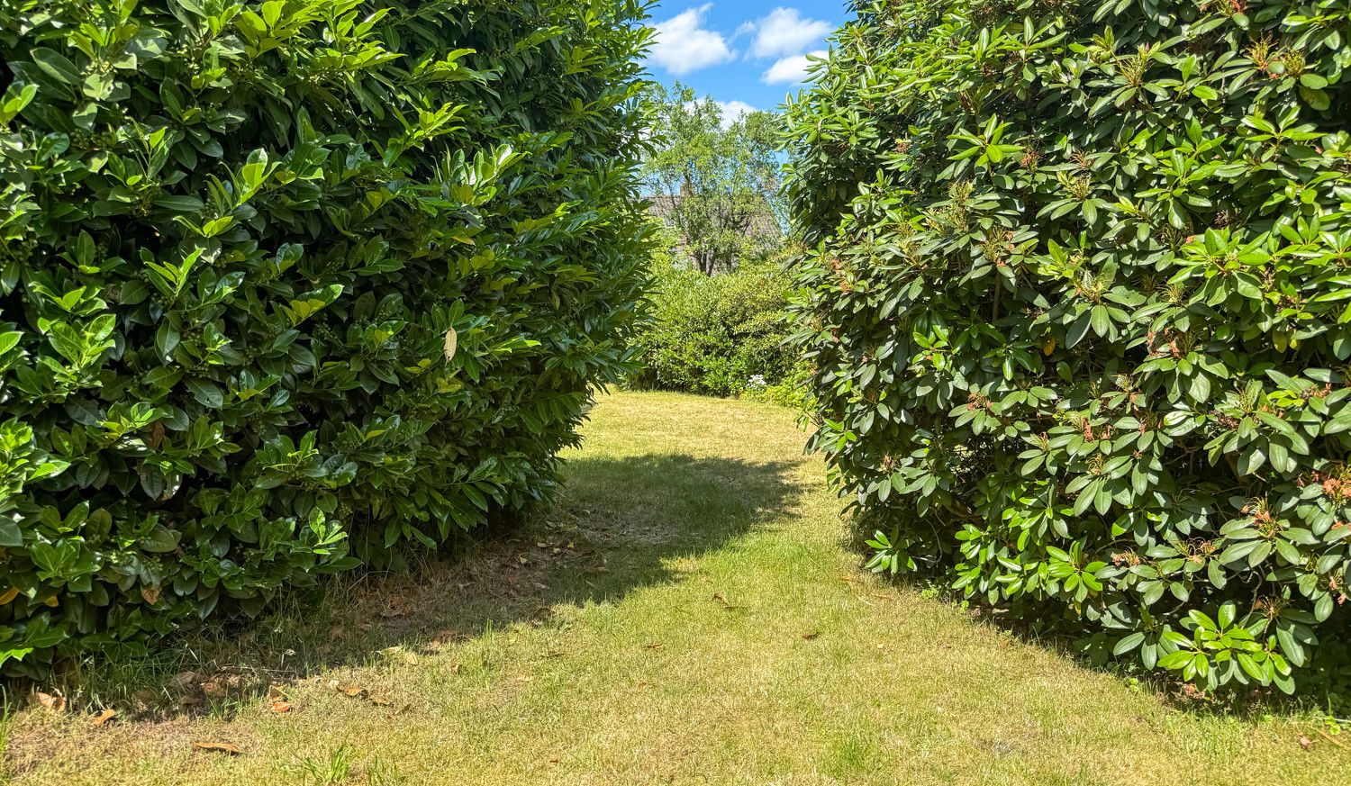 Garten
