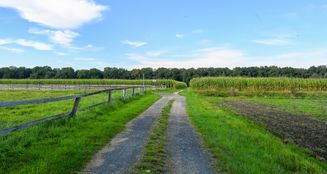 von_poll_real_estate_property_25242046_image_31