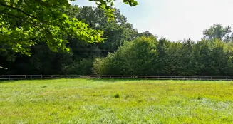 von_poll_real_estate_property_25242046_image_26