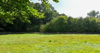 von_poll_real_estate_property_25242046_image_26
