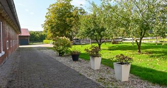 von_poll_real_estate_property_25242046_image_27