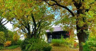 von_poll_real_estate_property_25286130_image_0