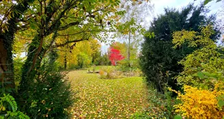 von_poll_real_estate_property_25286130_image_9